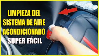 🏁 COMO LIMPIAR EL SISTEMA DE AIRE ACONDICIONADO DEL COCHE 🏁 [upl. by Glen]