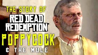 The Story of the Racist Opiate Addict Poppycock  Red Dead Redemption LORE [upl. by Settera]