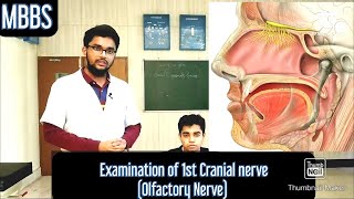 Examination of 1st Cranial Nerve Olfactory Nerve MUHS mbbs neetpg practical [upl. by Oos382]