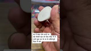 वास्तु शास्त्र में गोमती चक्र का प्रयोग  gomati chakra in vastu [upl. by Owain332]