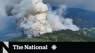 Thousands on evacuation notice in BC as dangerous wildfires grow [upl. by Mayrim]