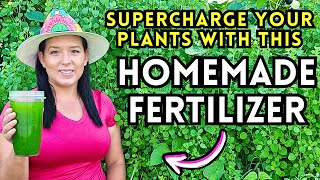 Amazing DIY Moringa Fertilizer for Explosive Plant Growth [upl. by Etterb322]