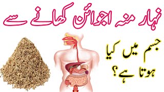 Ajwain Ke FaydeAjwain Khane Ke FaydeBenefit Of Carom Seeds [upl. by Hannus]