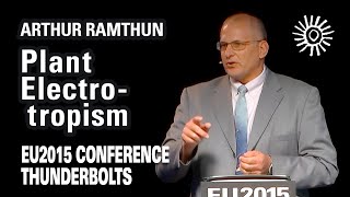 Arthur Ramthun Plant Electrotropism  EU2015 [upl. by Ardnoid]