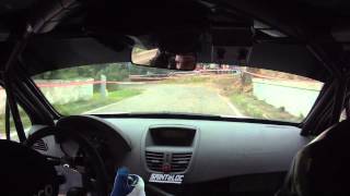 Craig BreenPaul Nagle Peugeot 207 S2000 Rallye du Var 2012 SS12 [upl. by Helbonnah486]