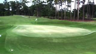 PGA TOUR shot link trail [upl. by Lauer]