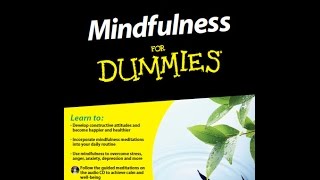 Mindfulness for Dummies author advises deep thought INTERVIEW [upl. by Husein145]