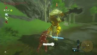 Zelda Breath of the Wild  Lynel Mini Boss in Master Mode [upl. by Reffinej]