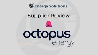 Supplier Review Octopus Energy  Energy Solutions [upl. by Kennard]