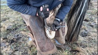 The Highland Farrier ep8 Suspecting a negative plantar angle in the unshod horse [upl. by Martina]