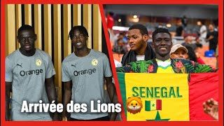 Arrivée des Lions 🦁 à Dakar [upl. by Desirea]