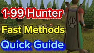 How To Get 199 Hunter FAST  Oldschool Runescape [upl. by Mario163]