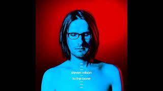 Steven Wilson  Detonation 51 Surround Sound [upl. by Vel549]