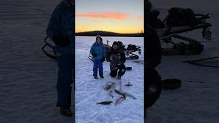 Walleye and Pike Ice Fishing [upl. by Vigor]