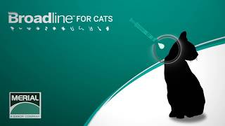 วิธีการใช้ ยาหยด Broadline For Cat [upl. by Tiloine]