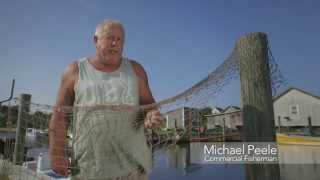 How to Mend a Net with Commerical Fisherman Michael Oden Peele [upl. by Camilo532]