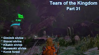 Tears of the Kingdom part 31 Walkthrough [upl. by Ahsirat]