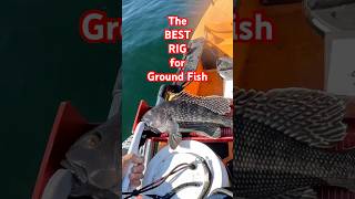 Best Inshore Fishing Rigs How to Set Up Inshore Fishing Rigs [upl. by Leftwich]