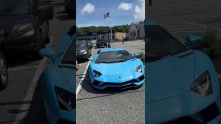 TCash Lambo Review lamborghini exotic cars funny shorts short video [upl. by Misak]