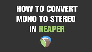 How to Convert Mono to Stereo in Reaper  Quick Tutorial [upl. by Marje503]