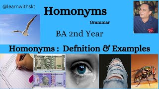 Homonyms  Definition amp Examples [upl. by Nehte]