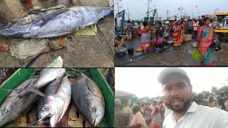 Vizag fishing harbour  Fishing harbour in vizag hindi vlog arshadfarooquivlogs [upl. by Smitt462]