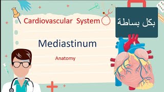 Mediastinum  Anatomy مليان نيمونكس للحفظ [upl. by Oglesby795]