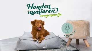 Hondenmanieren Asielhonden amp Herplaatsers vragenuurtje [upl. by Gardas]