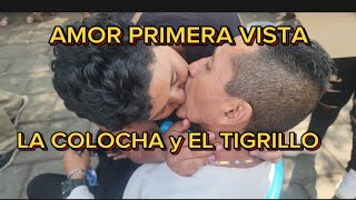 AMOR A PRIMERAVISTA LA COLOCHA y EL TIGRILLO [upl. by Eads716]