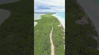 quotTransform Your Spirit Ancient Shamanic Healing at the Tulum Retreatquot soulretreat tulum mexico [upl. by Berkin]