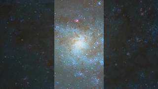 i captured triangulum Galaxy M33 from my telescope astrophotography shortsfeed youtubeshorts [upl. by Flavia]