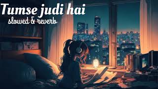 Tumse judi hai songs  slowed amp reverb songs  new songs 2024 [upl. by Enicnarf]