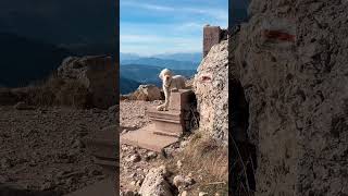 DexTours im Rosengarten Auf 4 Pfoten Entdeckungsreise in den Dolomiten rosengarten eggental [upl. by Eerihs]