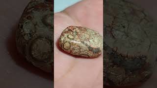 A Fossiliferous Rock [upl. by Idleman]