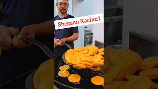 🔥Shegaon Kachori  Deccan Gymkhana Pune  pune food punefoodblog streetfood [upl. by Aimak575]