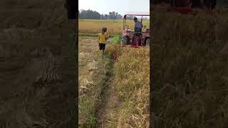 wheat 🌾harvesting machinery mahindratractors mahindra viralshort attitude explore sonumalik [upl. by Trepur]