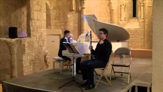 Andrei Freidine plays Barcarolle  Juin de P Tchaikovsky [upl. by Nnaaras]