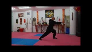 3 eagle claw kung fu  What is this technique for [upl. by Kano]