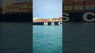 Raula h Bhya mafiya logo ka samundar pe🌊🚢trend explore shorts 1000subscriber container msc [upl. by Yticilef]