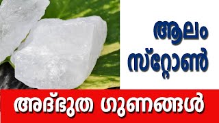 ആലം സ്റ്റോണ്  ALUM STONE [upl. by Swerdna831]