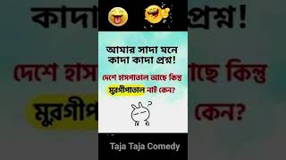 Komola Nitto kere Bangla Song 😂✨ comedy comedyvideos banglajokes banglafunnyvideo song bangla [upl. by Nallaf981]