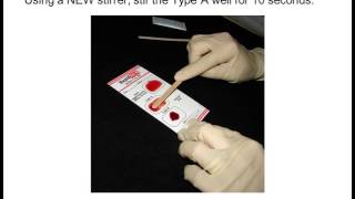 RapidVet H Feline Blood Typing Test [upl. by Jarrett283]