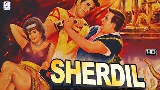 शेरदिल  Sher Dil  Dara Singh Parveen Choudhary  Super Hit Action Movie  HD [upl. by Mit]