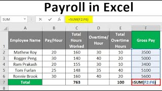 Easy Payroll System In Excel [upl. by Aznerol]