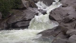 Explore Colorado Aspen Grottos [upl. by Deena]