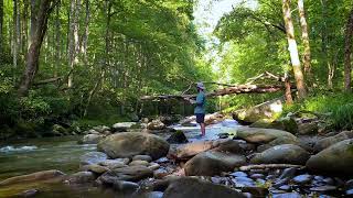 Fly Fishing Little River Elkmont Campground [upl. by Eddie156]