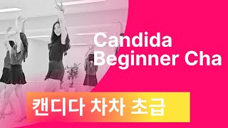 Candida Beginner Cha캔디다차차정말 신나는 초급 차차 라인댄스 [upl. by Moss]