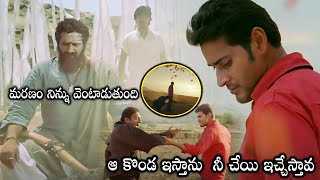 Khaleja Movie Blockbuster Action Climax Scene  Prakash Raj  Mahesh Babu  HD Cinema Official [upl. by Zebadiah856]