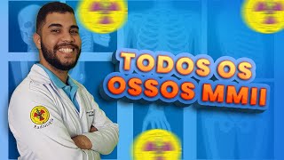 ANATOMIA E DIVISÃO DOS MMII  Radiologando [upl. by Notnroht]