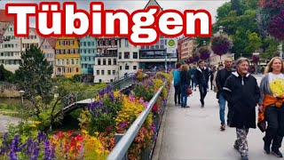 Tübingen Germany 🇩🇪 Walking Tour 4K Video [upl. by Barret670]